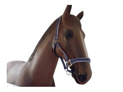 Böckmann Grime Blå Pony